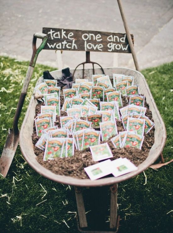 a82daf0a661f58a9e5a3f27a2bb68778